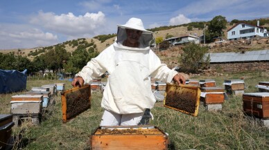 Köyünde 1 kovanla arıcılığa başladı, bu sene 1 ton bal hasadı yaptı