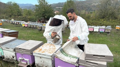 Londra'da "Altın Bal Ödülü"nü kazanan Zonguldaklı çift, kestane balını dünyaya tanıtmayı hedefliyor