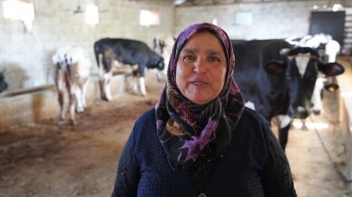 Maddi imkanı iyi olmayan aileler hayvan destekleriyle yetiştirici oldu