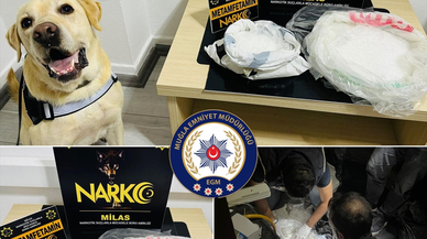 Muğla'da uyuşturucu operasyonunda 4 şüpheli yakalandı