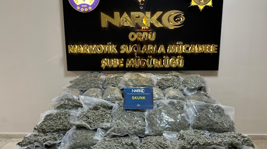 Ordu'da 68 kilo 500 gram skunk ele geçirildi