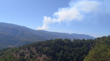 Ormanlık alana sıçrayan örtü yangınına müdahale ediliyor