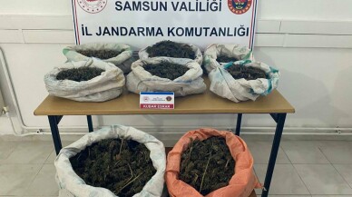 Samsun'da ormanlık alana gizlenmiş 8 kilo 525 gram esrar bulundu
