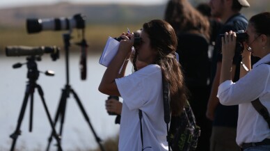 Sulak alan kayıpları dünyanın geleceğini tehdit ediyor