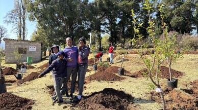 TİKA, Lesotho Krallığı'na 2 bin fidan hibe etti