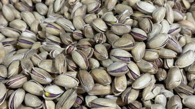 Türkiye'nin 9 aylık fıstık ihracatı 150 milyon dolara yaklaştı