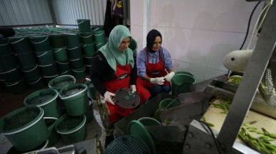 "Türkiye'nin kadın ahisi" Çanakkaleli Hafize Ergen'in turşuları yurt dışına da gönderiliyor