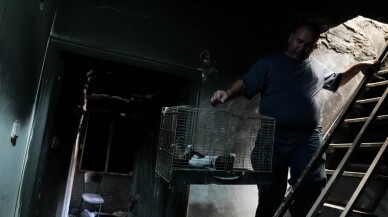 Yangında evini kaybetti ama güvercin tutkusundan vazgeçmedi