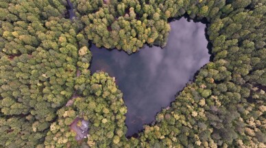 Yedigöller doğa tutkunlarını sonbaharın güzelliğini keşfe çıkarıyor