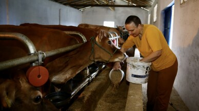 Yürüme engelli kadın, hayvancılık sayesinde yaşama bağlandı