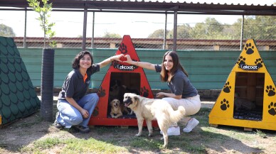 Akcoat geri dönüşümle sokak hayvanlarına yuva oldu