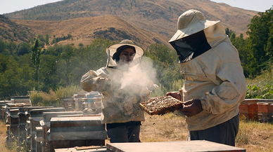 Bitlis'teki yaylalarda bal hasadı devam ediyor