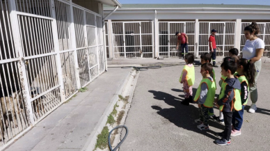 Yenimahalle’de Sahipsiz Hayvanlar Bakımevi ve Yaşam Alanı ziyaret edildi