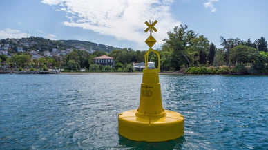 Güney Koreli heyet İstanbul Boğazı'nda deniz çayırlarını inceledi