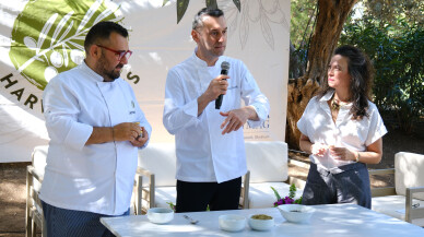 Sezonun ilk zeytin hasadı yapıldı