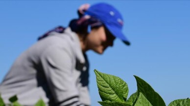 Pozitif ayrımla 27 bin kişiye iş kapısı açıldı