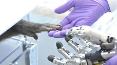 Protez eller düşünce gücüyle hareket ettirildi