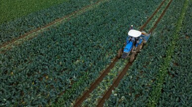 Dünya Bankası tarım finansmanını 9 milyar dolara çıkaracak