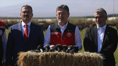 Kırmızı et fiyatlarını düşürecek adım