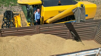 Çiftçilere buğday tohumu desteği