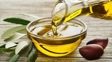 Zeytinyağı üreticileri bu sezon üretimde artış bekliyor