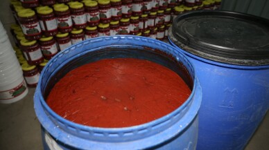 50 yıllık kooperatifi yıllık 2 bin 500 ton salça üretiyor