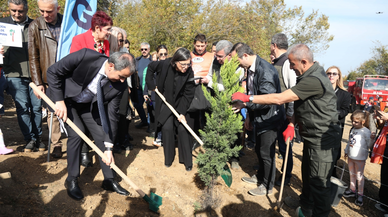 "81 İlde 81 Orman Projesi" kapsamında fidan dikimi başladı