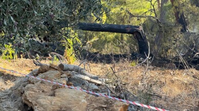 Alanya'da hava aracı ormanlık alana düştü