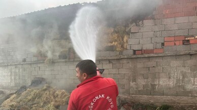 Besihanede çıkan yangında 12 küçükbaş hayvan öldü