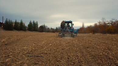 Çoğaltılan ata tohumları bölge çiftçisinin hizmetine sunuluyor