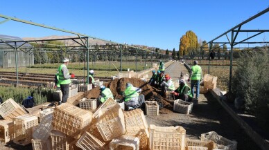 Doğu Anadolu'nun bozkır toprakları dikilen milyonlarca fidanla yeşerecek
