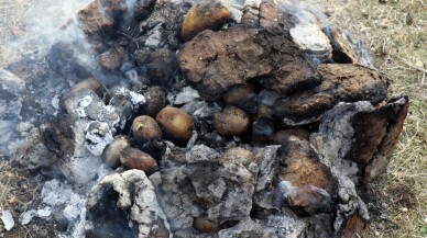 Emekli memur yetiştirdiği mor patatesle Ağrı tarımına çeşitlilik getirdi