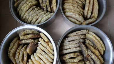 Hasadı yapılan karakovan balı yurt dışından alıcı buluyor