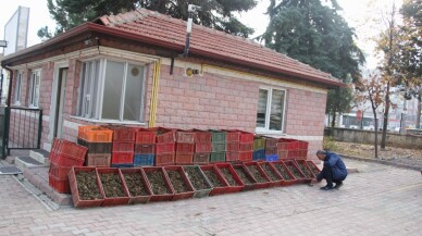 Isparta'da kaçak avlanan 84 kasa kerevit ele geçirildi