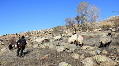 Karadenizli göçerlerin bir ay süren zorlu dönüş yolculuğu başladı