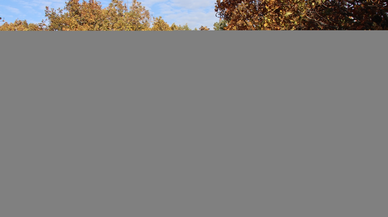 Kırklareli'nde çıkan orman yangını söndürüldü