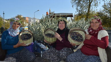 Manavgat Zeytin ve Zeytinyağı Festivali başladı