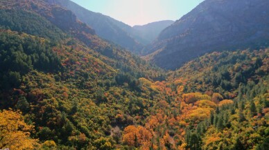 Manisa Spil Dağı'ndaki ağaçlar hazan rengine büründü