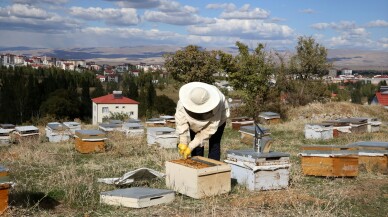 Muşlu arıcının ürettiği bal, 20 ülkeye gönderiliyor