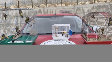Operasyonda ele geçirilen 20 saka kuşu doğaya salındı