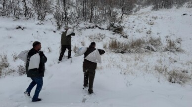 Siirt'te yaban hayvanları için doğaya yem bırakıldı