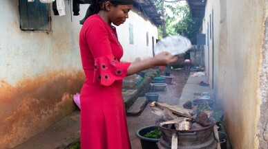 Sıtma tedavisi için geleneksel tedavi yöntemleri