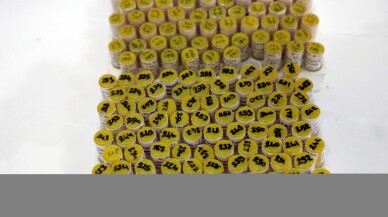 Sonbahar ve kış aylarında da keneye dikkat edilmesi uyarısı