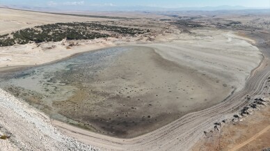 Su seviyesi düşen barajdaki balıkların bir kısmı telef oldu