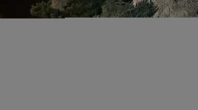 Takla atan otomobildeki 1 kişi öldü, 3 kişi yaralandı