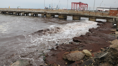 Tekirdağ'da poyraz nedeniyle sahilde kırmızı yosun birikti