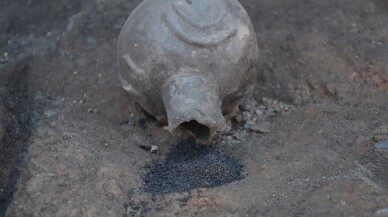 Tunç Çağı'ndan kalma haşhaş ve nohut taneleri bulundu