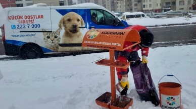 Yiyecek sıkıntısı çeken hayvanlar için doğaya yem bırakıldı