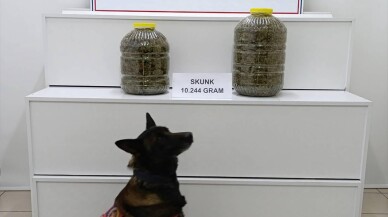 Yolcu otobüsünün bagajındaki bidonlarda uyuşturucu ele geçirildi