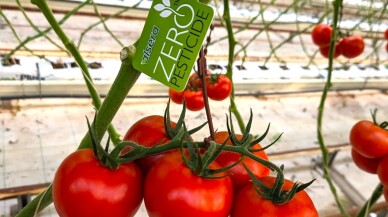 Gıdada İnovasyon Ödülü Alarko Tarım'ın